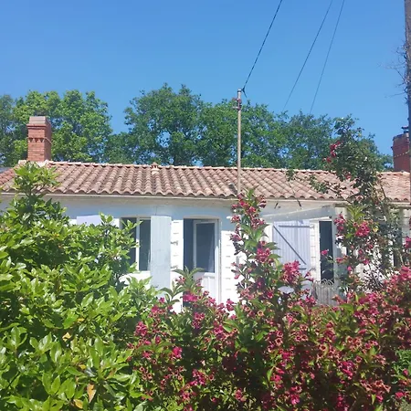 Au Cocon De Verdure Chateauneuf (Pays de la Loire)